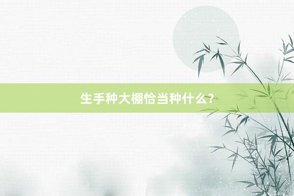 生手种大棚恰当种什么？